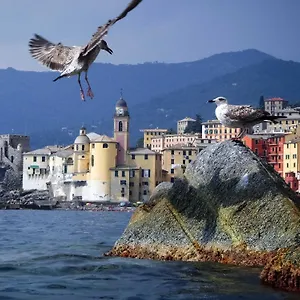 Il Veliero Camogli